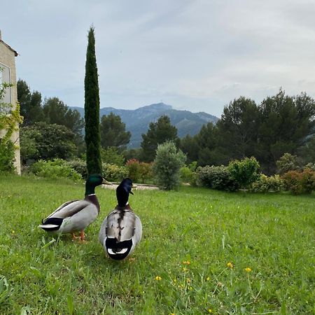 La Maison Perchee Auriol Εξωτερικό φωτογραφία