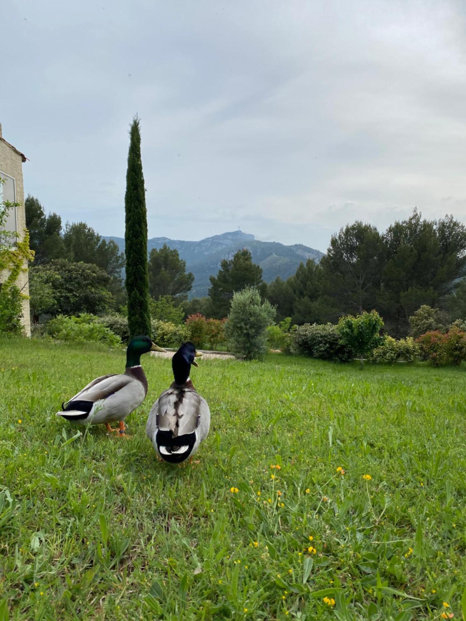 La Maison Perchee Auriol Εξωτερικό φωτογραφία